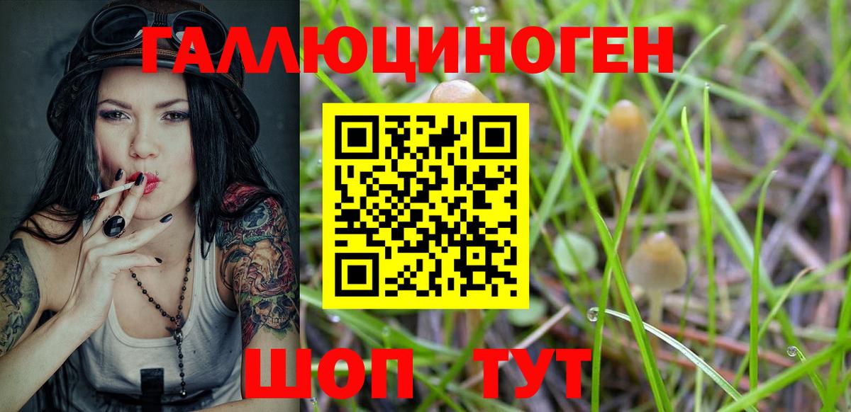Свободный  Галлюциногенные грибы Psilocybine cubensis  Вход с VPN 