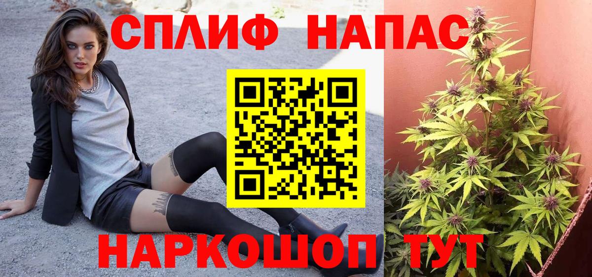 ГАШ Свободный